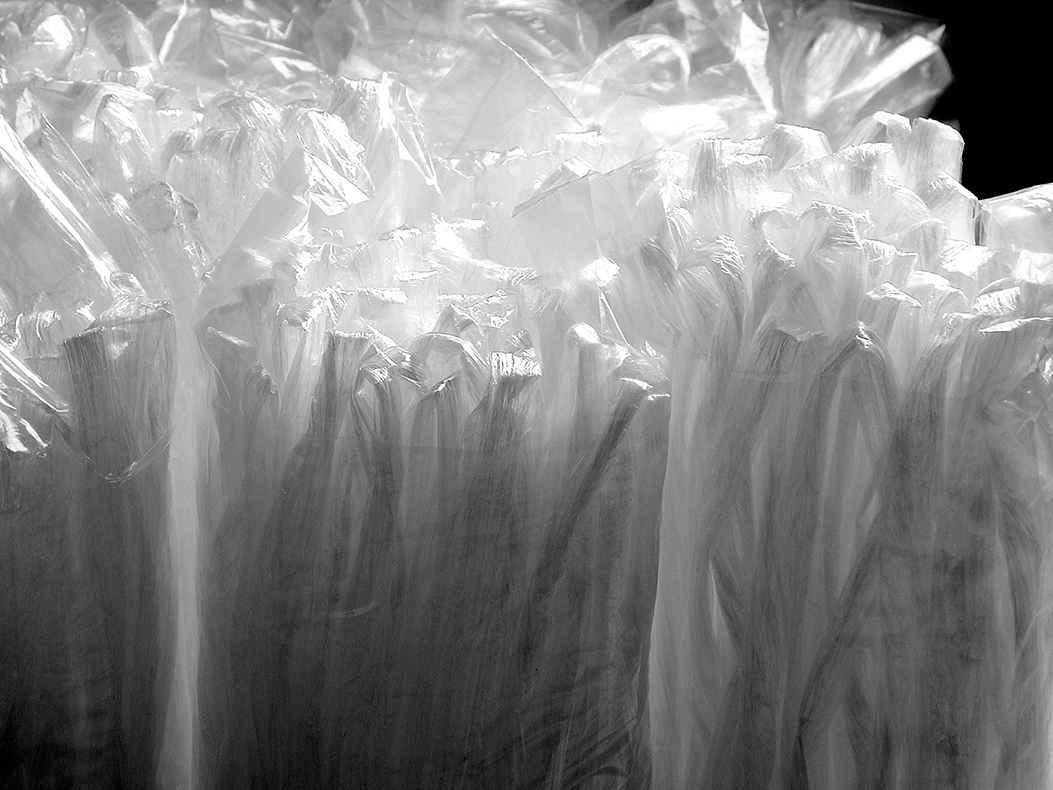 *Linien in Tüten*, 2013
Detail