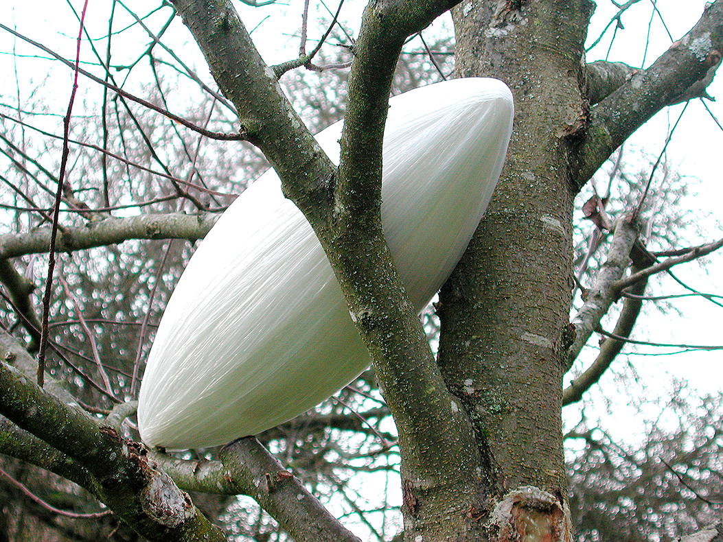 *Kokon*, 1999
Folie, Holz, 22 x 52 x 22